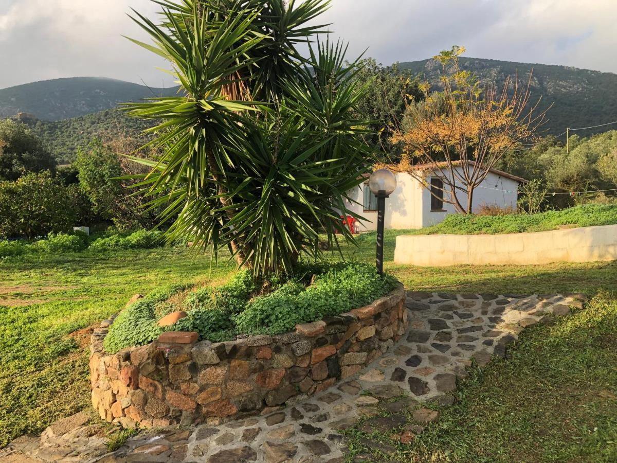 Sarrala Appartement Tertenìa Buitenkant foto